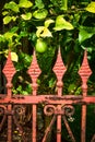 Ornate antique Victorian iron metal garden fence Royalty Free Stock Photo