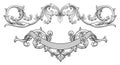 Ornate banner vector