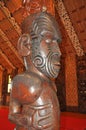 Carved interior of a Maori meeting house Royalty Free Stock Photo