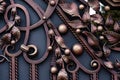 Ornate beautiful metal sheets on forged gates