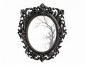 Ornate Black Mirror Reflecting a Bare Tree Silhouette on White Background Royalty Free Stock Photo
