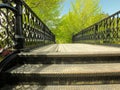 Ornate black steel railings