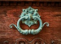 Ornate Brass Door Knocker
