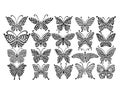 Ornate butterfly collection for your design