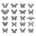 Ornate butterfly collection for your design