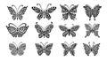 Ornate butterfly collection for your design