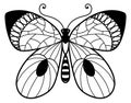 Ornate butterfly with decorative patterned wings. Black moth