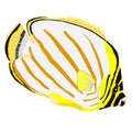 Ornate Butterflyfish vector