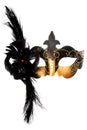 Ornate carnival mask Royalty Free Stock Photo