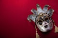 Ornate carnival mask Royalty Free Stock Photo