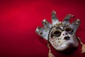 Ornate carnival mask Royalty Free Stock Photo