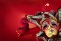 Ornate carnival mask Royalty Free Stock Photo