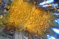 Ornate carved ceiling in cathedral chapel