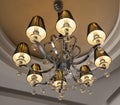 Ornate ceiling light chandelier