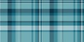 Ornate check textile fabric, neat plaid pattern seamless. Unique texture tartan background vector in cyan and dark colors