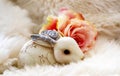 Ornate Christmas Bunny with silver metal ears peeking out of white fur with soft peach rose
