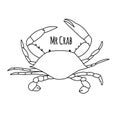 Ornate crab, sketch for your design