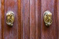 Ornate door handles Royalty Free Stock Photo