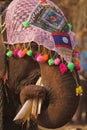 Ornate elephant eating