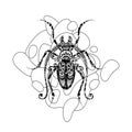 Ornate Exotic Beetle on Abstract Stains