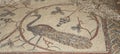 Ornate floor mosaics at the Basilica of Moses), Mount Nebo, Jordan