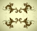 Ornate frame Royalty Free Stock Photo