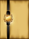 Ornate golden frame Royalty Free Stock Photo