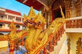 The gardians of the shrine in Wat Buppharam, Chiang Mai, Thailand