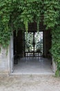 Ornate iron gate surrounded by ivy at Chateau de Savigny near Beaune in Burgundy, France