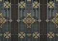 Ornate Iron Window Detail