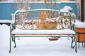 ornate metal bench covered in snow, garden setting