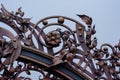 Ornate metal gate decoration with wrought iron elements