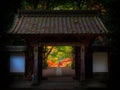 Ornate metal gate set against a nighttime backdrop of vibrant trees in bloom.