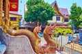 Naga serpents of Ubosot of Wat Thung Yu, Chiang Mai, Thailand