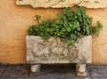 Ornate old font with motifs with planter. Royalty Free Stock Photo
