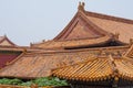 Oriental Rooftops, Beijing China