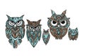 Ornate owl, zenart for your design