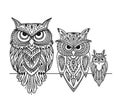 Ornate owl, zenart for your design