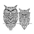 Ornate owl, zenart for your design Royalty Free Stock Photo