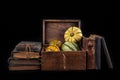 Ornate pumpkin in a old wooden crate and a book. Vegetables and old publications on the dark table