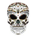 The ornate skull style zentangl, doodle