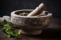 An ornate stone mortar and pestle, grinding fresh herbs and roots into a healing salve or powder. Render the timeless, meticulous