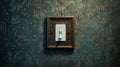 ornate turn on light switch Royalty Free Stock Photo