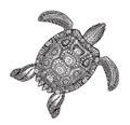 Ornate turtle in tattoo style isolated on white background. Vector illustration