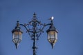 Ornate victorian style street lighting with seagull.