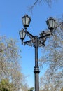 Ornate vintage wrought iron lamppost