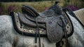 Ornate Western Saddle on a Horse Royalty Free Stock Photo
