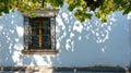 Ornate Window and White Wall with Leaf Shadows Royalty Free Stock Photo