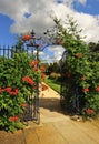 Ornate wrought iron, floral gate