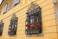 Ornate wrought iron window shutters